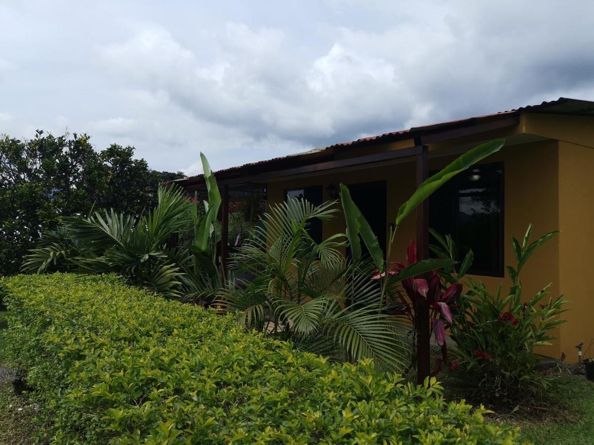 Dreamcatcher House Sarchí 외부 사진
